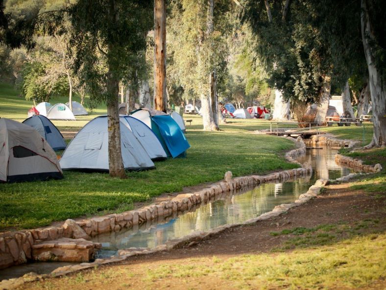 קו ראשון למים: אתרי הקמפינג שנמצאים ליד מקורות מים מרעננים